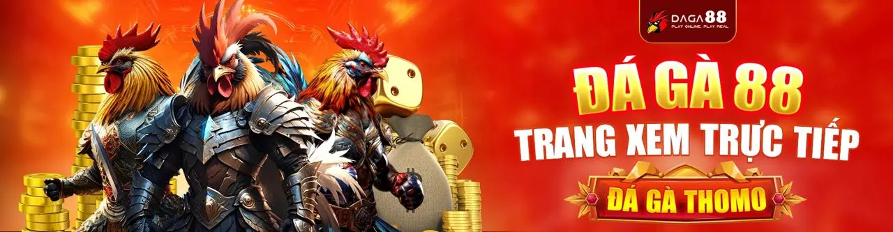 Bảo mật thông tin tại okking99 code