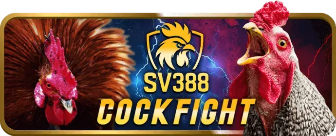 Cá cược Tennis okking99 code