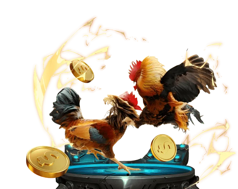 Chứng nhận tuân thủ GDPR và dấu bảo mật của okking99 code